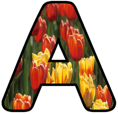 Dekobuchstaben-Tulpe_A.jpg